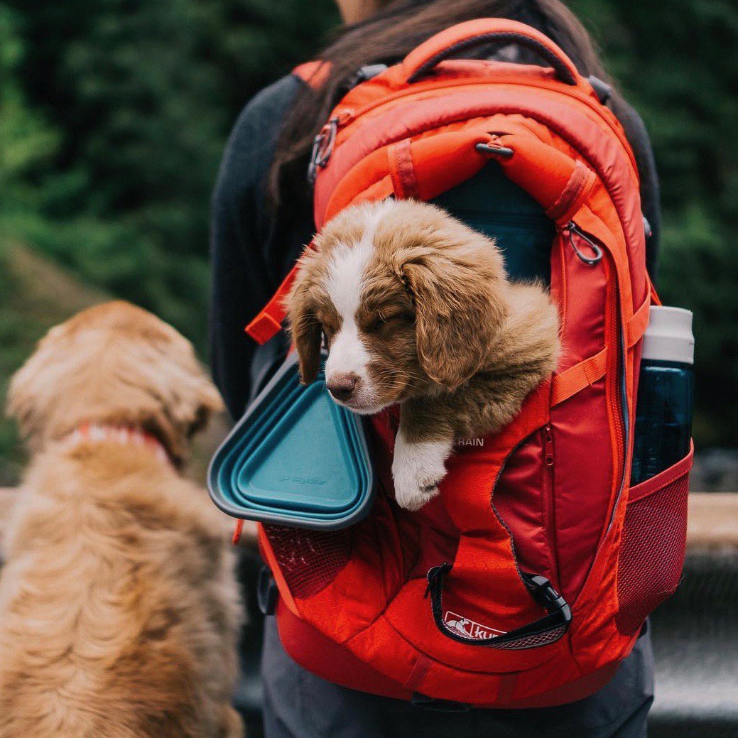 Backpacks