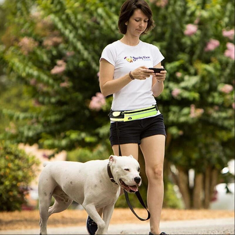 Hands-Free Dog Leash with Bungee & Training Belt - Happy Paws - Furbizzle