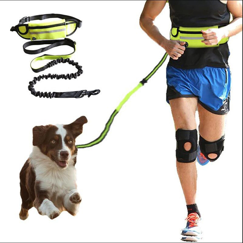 Hands-Free Dog Leash with Bungee & Training Belt - Happy Paws - Furbizzle