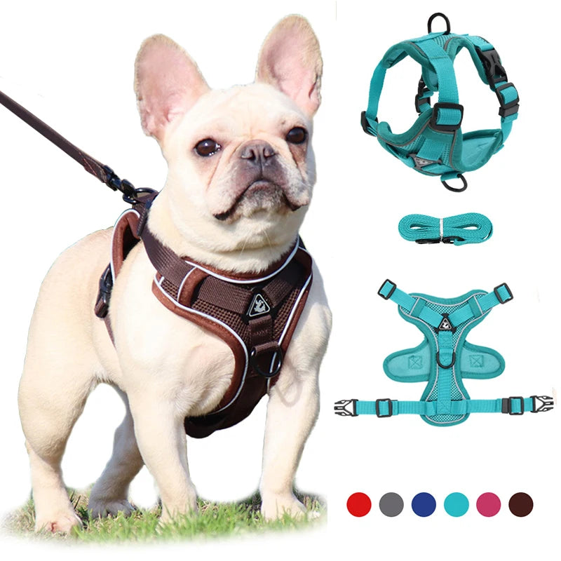 No Pull Adjustable Harness & Leash Set with Reflective Mesh for Small Dogs and Cats - Happy Paws - Furbizzle