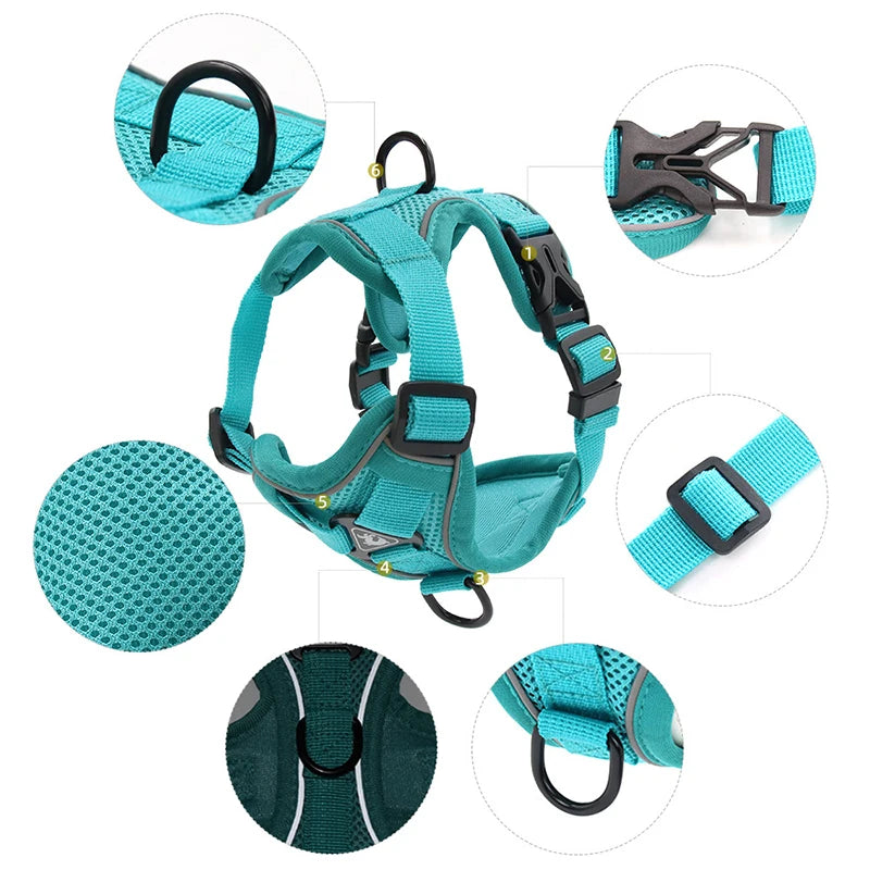 No Pull Adjustable Harness & Leash Set with Reflective Mesh for Small Dogs and Cats - Happy Paws - Furbizzle