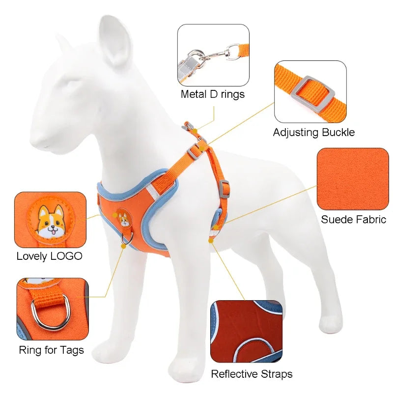 Adjustable Reflective Dog Harness and Leash Set - Happy Paws - Furbizzle