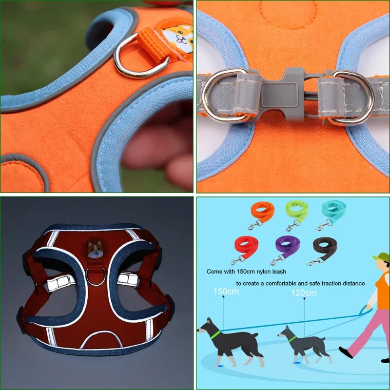 Adjustable Reflective Dog Harness and Leash Set - Happy Paws - Furbizzle