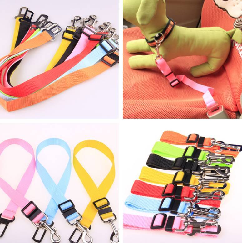 Fixed Strap Polyester Dog Strap Dog Leash Dog Leash - Happy Paws - Furbizzle