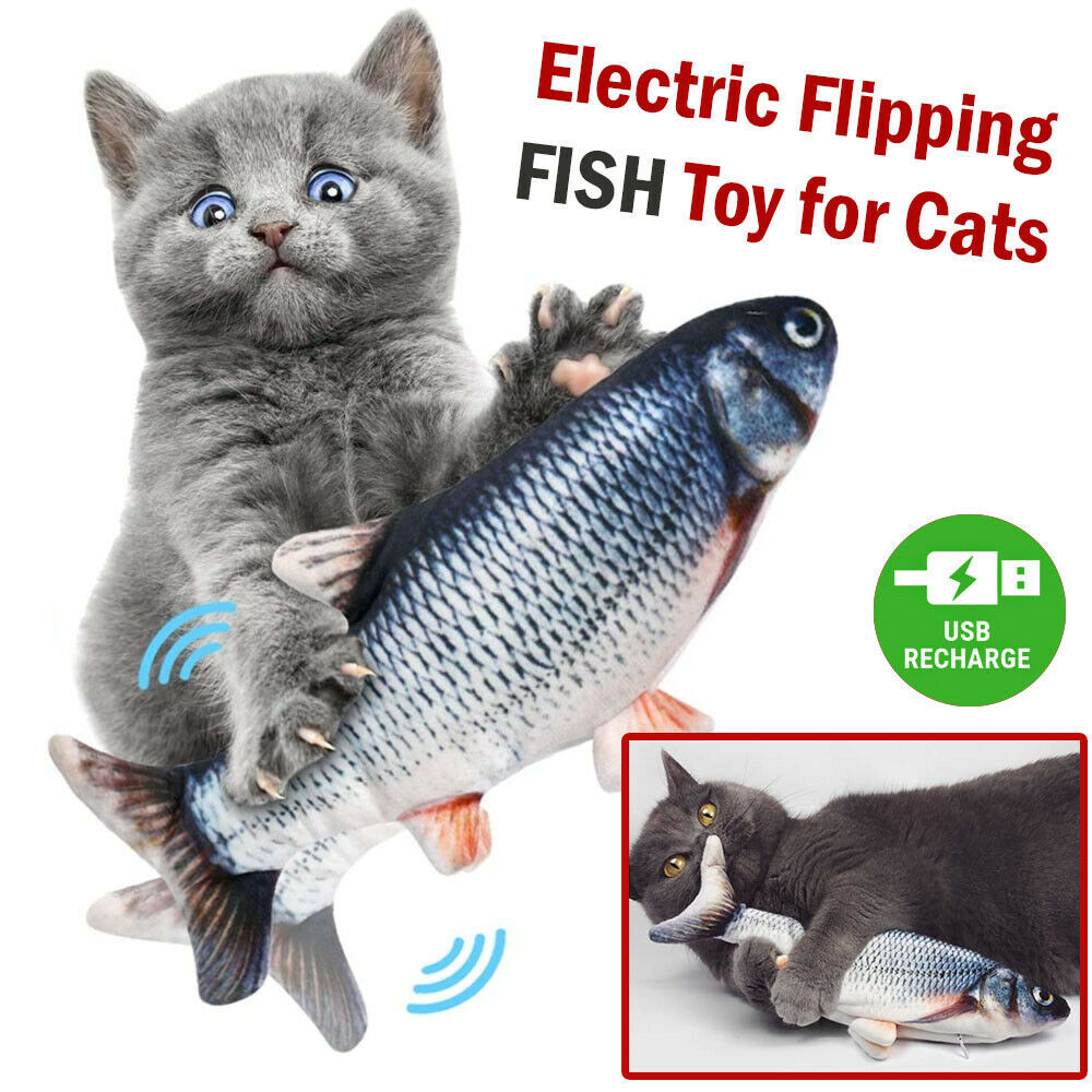 Realistic Electric Fish Cat Toy - Happy Paws - Furbizzle